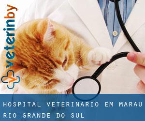 Hospital veterinário em Marau (Rio Grande do Sul)