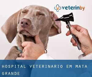 Hospital veterinário em Mata Grande