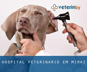 Hospital veterinário em Miraí