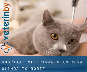 Hospital veterinário em Nova Olinda do Norte