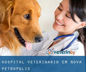 Hospital veterinário em Nova Petrópolis