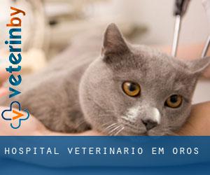 Hospital veterinário em Orós