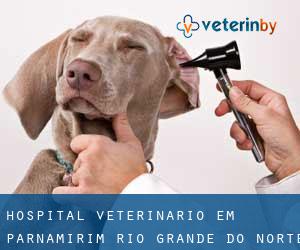 Hospital veterinário em Parnamirim (Rio Grande do Norte)