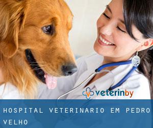 Hospital veterinário em Pedro Velho