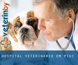 Hospital veterinário em Piuí