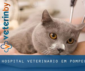 Hospital veterinário em Pompéu