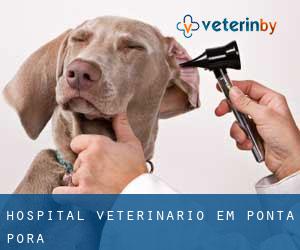 Hospital veterinário em Ponta Porã