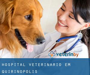 Hospital veterinário em Quirinópolis Hospital veterinário em Quirinópolis