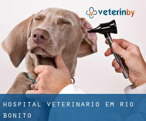Hospital veterinário em Rio Bonito