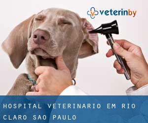 Hospital veterinário em Rio Claro (São Paulo)