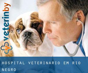 Hospital veterinário em Rio Negro