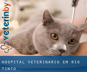 Hospital veterinário em Rio Tinto