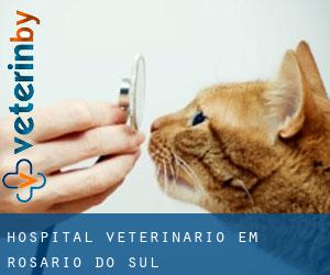 Hospital veterinário em Rosário do Sul