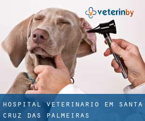 Hospital veterinário em Santa Cruz das Palmeiras