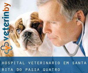 Hospital veterinário em Santa Rita do Passa Quatro