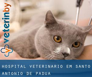Hospital veterinário em Santo Antônio de Pádua