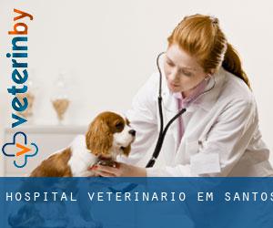Hospital veterinário em Santos