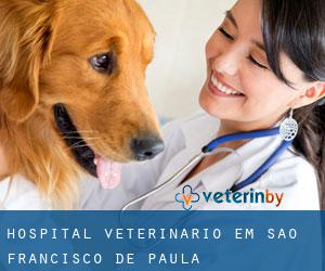 Hospital veterinário em São Francisco de Paula Hospital veterinário em São Francisco de Paula