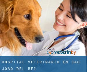 Hospital veterinário em São João del Rei