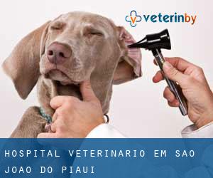 Hospital veterinário em São João do Piauí