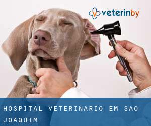 Hospital veterinário em São Joaquim