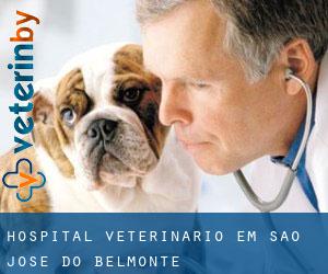 Hospital veterinário em São José do Belmonte