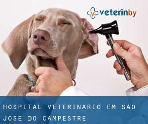Hospital veterinário em São José do Campestre