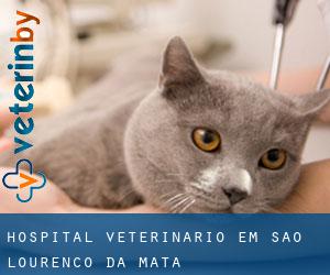 Hospital veterinário em São Lourenço da Mata