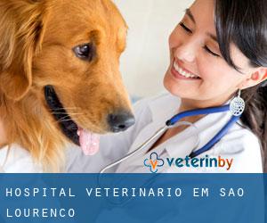 Hospital veterinário em São Lourenço