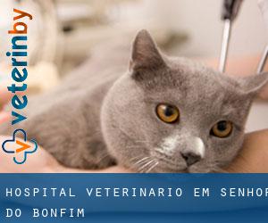 Hospital veterinário em Senhor do Bonfim