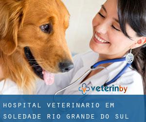 Hospital veterinário em Soledade (Rio Grande do Sul)