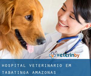 Hospital veterinário em Tabatinga (Amazonas)