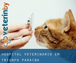 Hospital veterinário em Triunfo (Paraíba)