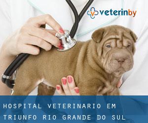 Hospital veterinário em Triunfo (Rio Grande do Sul)