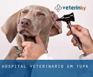 Hospital veterinário em Tupã