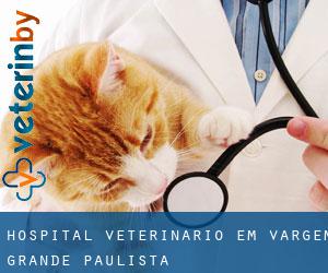 Hospital veterinário em Vargem Grande Paulista