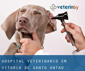 Hospital veterinário em Vitória de Santo Antão