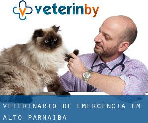 Veterinário de emergência em Alto Parnaíba