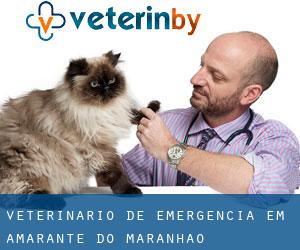 Veterinário de emergência em Amarante do Maranhão