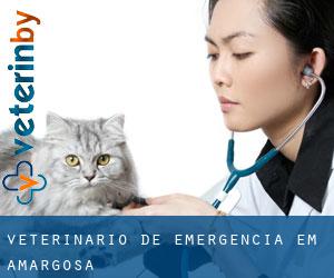 Veterinário de emergência em Amargosa