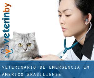Veterinário de emergência em Américo Brasiliense