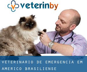 Veterinário de emergência em Américo Brasiliense