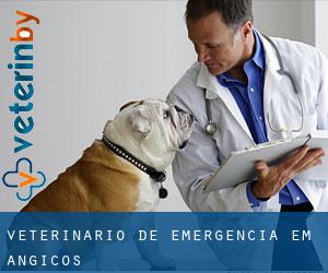 Veterinário de emergência em Angicos