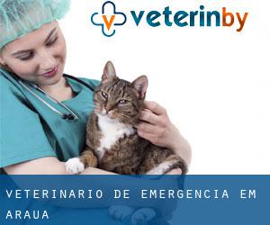 Veterinário de emergência em Arauá