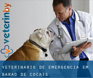 Veterinário de emergência em Barão de Cocais