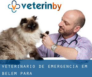 Veterinário de emergência em Belém (Pará)