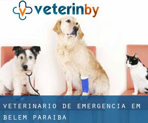 Veterinário de emergência em Belém (Paraíba)
