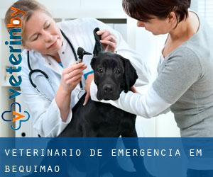 Veterinário de emergência em Bequimão