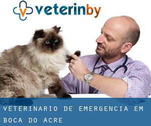 Veterinário de emergência em Boca do Acre