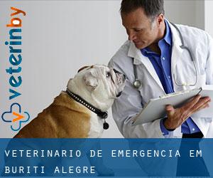 Veterinário de emergência em Buriti Alegre